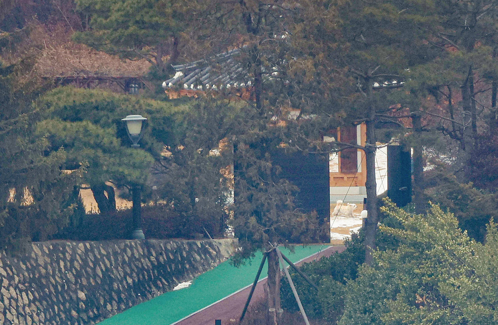 韩议员：金建希仍在总统官邸<strong></p>
<p>edr虚拟币</strong>，“脸色很难看”，尹锡悦说她最近“吃不下东西”
