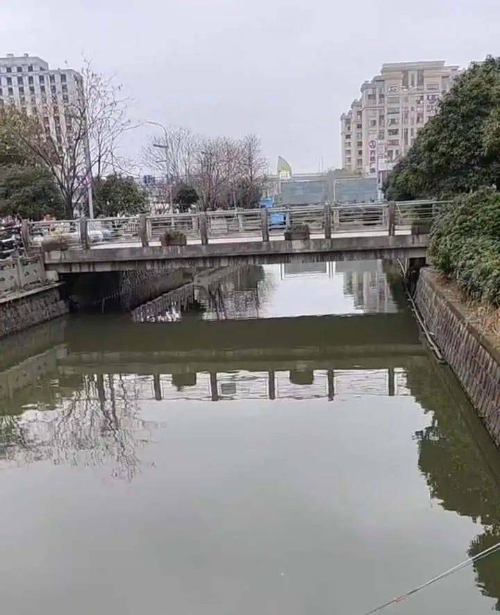 痛心！她于凌晨不幸去世<strong></p>
<p>虚拟货币马币</strong>，年仅19岁