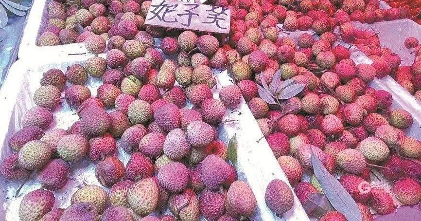 大跳水<strong></p>
<p>虚拟币挖矿软件</strong>，暴跌40%！老板：一天一个价，估计还要跌