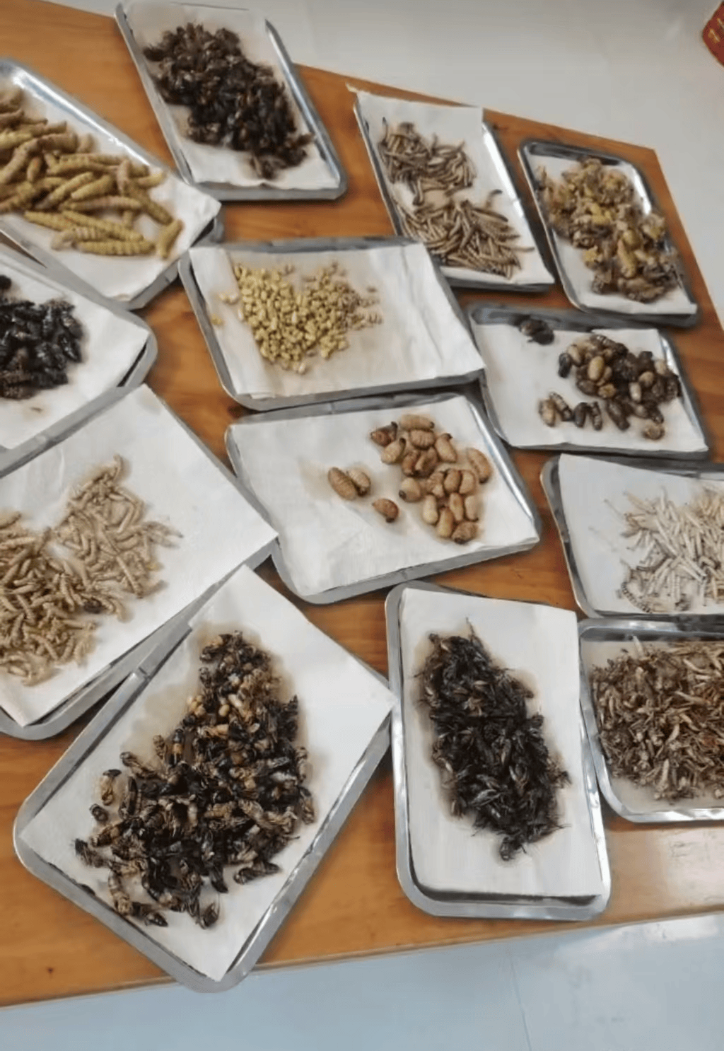 山东临沂通报“蛤蟆汤”饭店被拟罚45万：撤销处罚<strong></p>
<p>虚拟币设计</strong>，5人停职