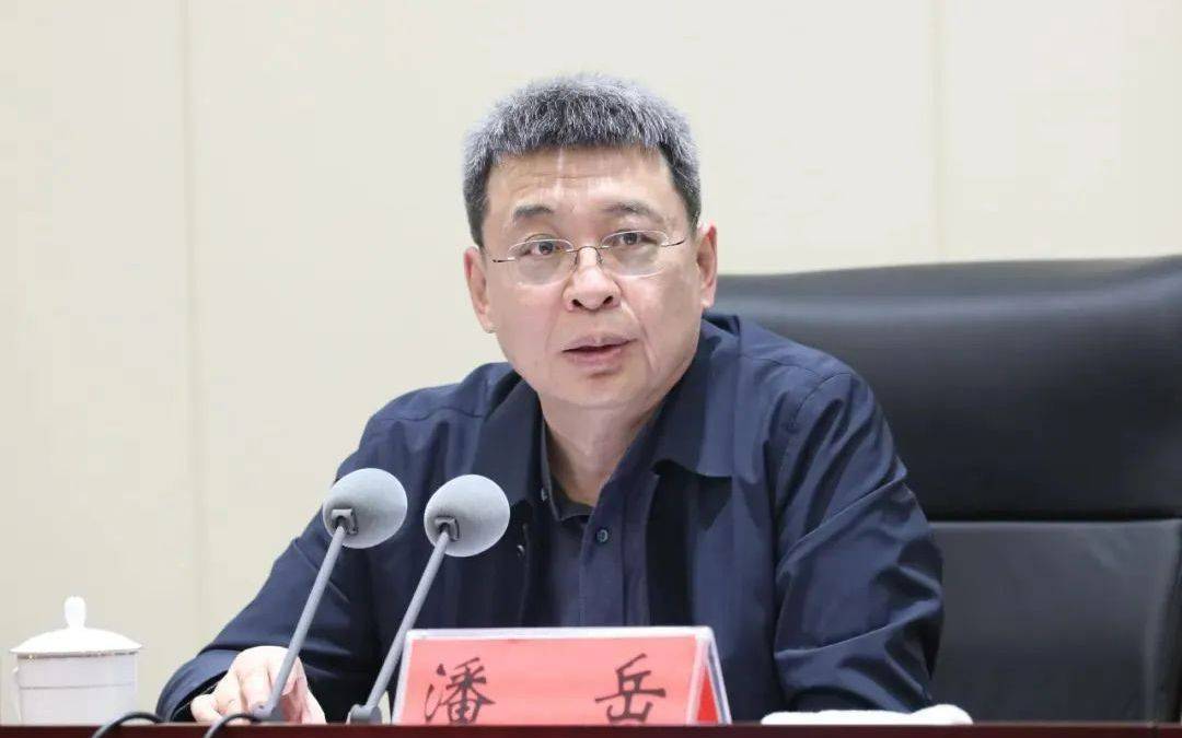 正部级潘岳<strong></p>
<p>四大虚拟币</strong>，有新职