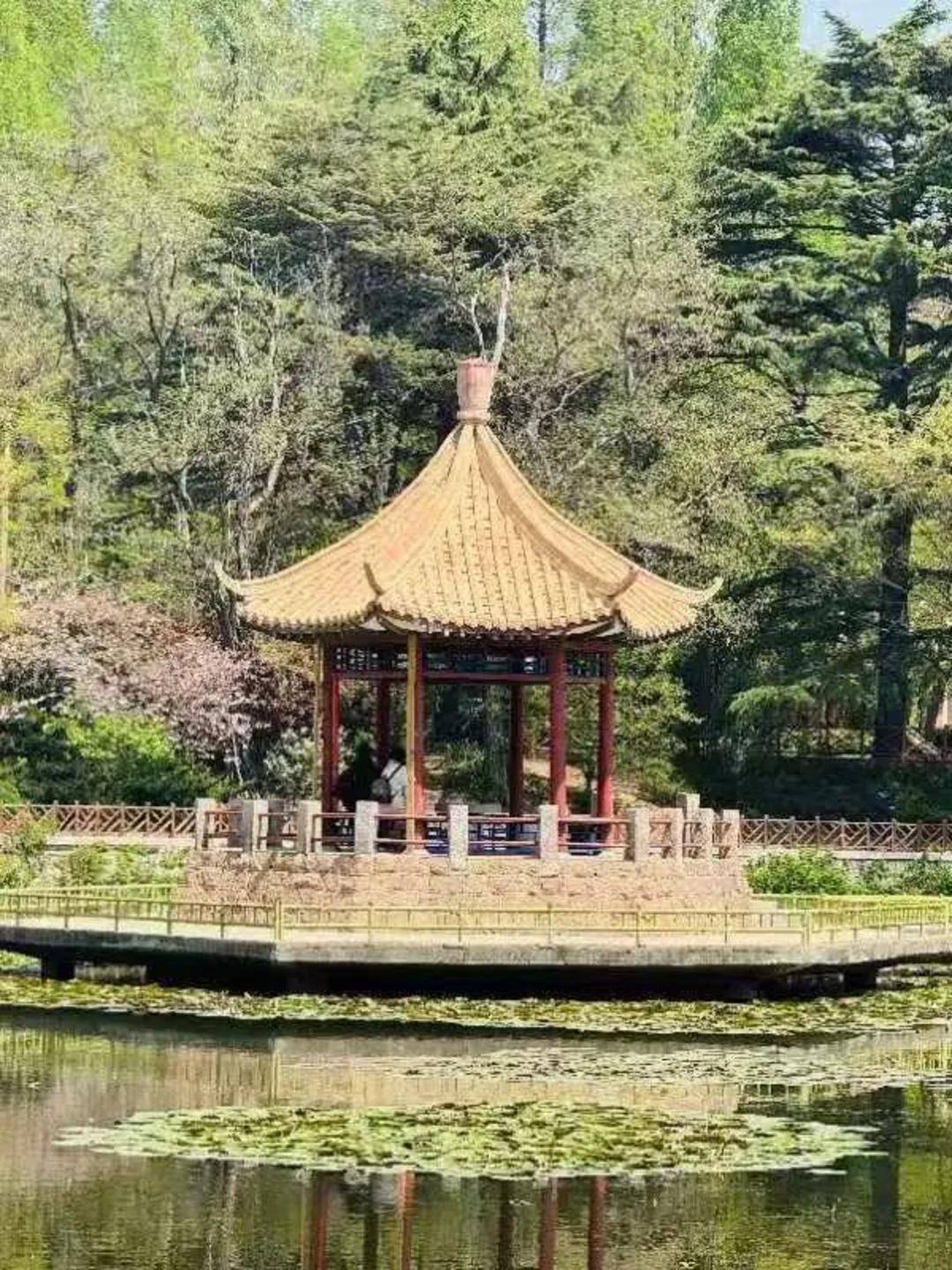 青岛中山公园一凉亭突然倒塌：一年前刚完成修缮<strong></p>
<p>主流虚拟币</strong>，园方称无伤亡原因待查
