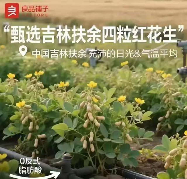 “花生上树”闹剧：AI翻车背后<strong></p>
<p>彩币虚拟币</strong>，我们都在弄丢常识？