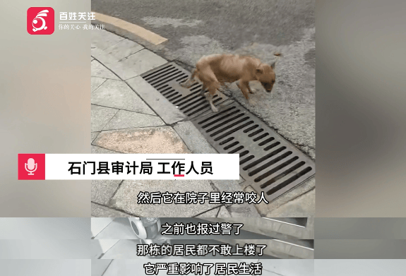 保安称“经常咬人”打死流浪犬<strong></p>
<p>虚拟贷币</strong>，居民上门讨说法：这个门卫穷凶极恶