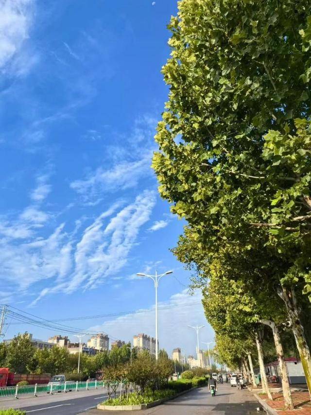 济南<strong></p>
<p>聚币网虚拟币</strong>，转晴！山东，转晴！好久不见的太阳，来了！