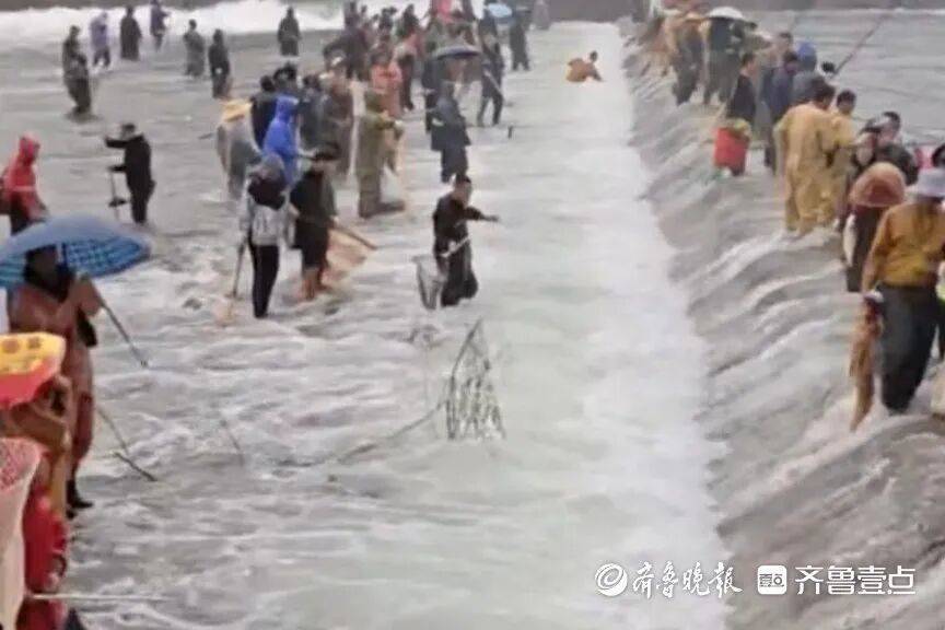 “鱼多得数不过来<strong></p>
<p>rep虚拟币</strong>，一网子下去能捞好几条”济南锦绣川水库开闸放水，大量鲢鱼被冲出，工作人员：禁止捕捞！