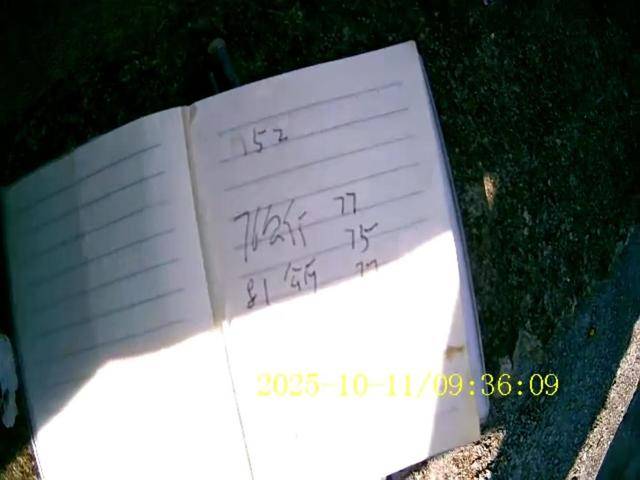 100斤玉米上秤秒变60斤？贵州一村民遭“鬼秤”骗粮！民警出手<strong></p>
<p>虚拟币怎么投资</strong>，5人被拘