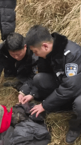 辽宁4岁女童称睡醒后自行下车<strong></p>
<p>创建虚拟币</strong>，迷路后睡在草地，期间无人接触；其母发声