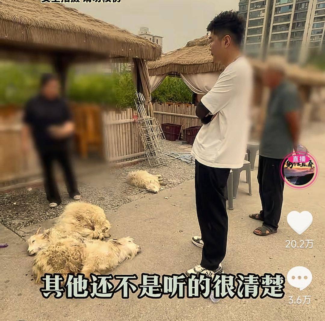 60斤活羊实际只有30多斤<strong></p>
<p>创建虚拟币</strong>！博主打假重庆两家烤全羊店获“退一赔三”
