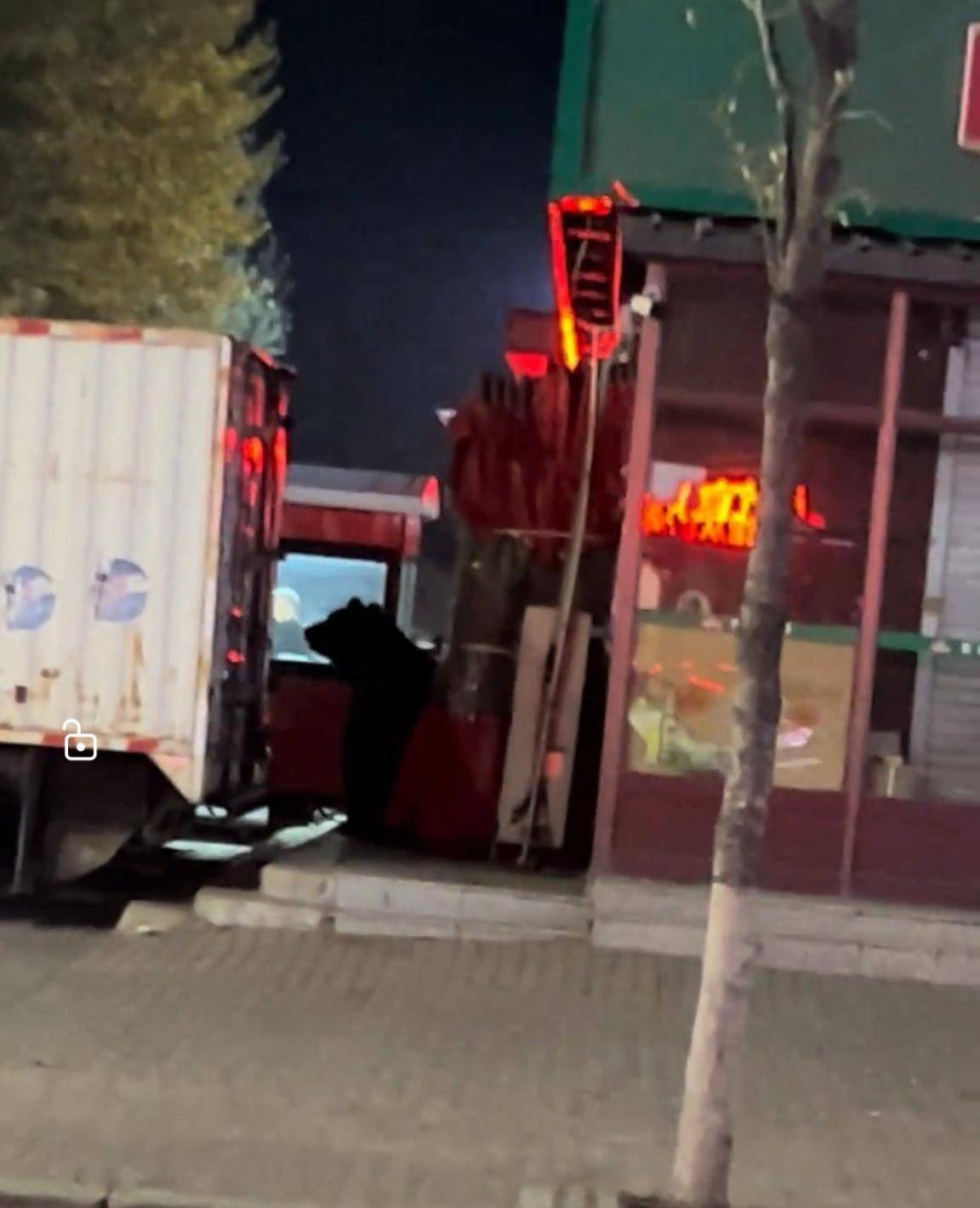 大黑熊夜里独闯黑龙江一县城闹市区<strong></p>
<p>虚拟币走势图</strong>,警方连开10多枪击毙,回应为何没用麻醉枪