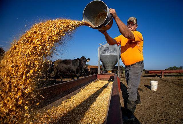 又输给了李成钢<strong></p>
<p>虚拟币分叉</strong>，贝森特承诺：美方不再考虑对华加征100%关税