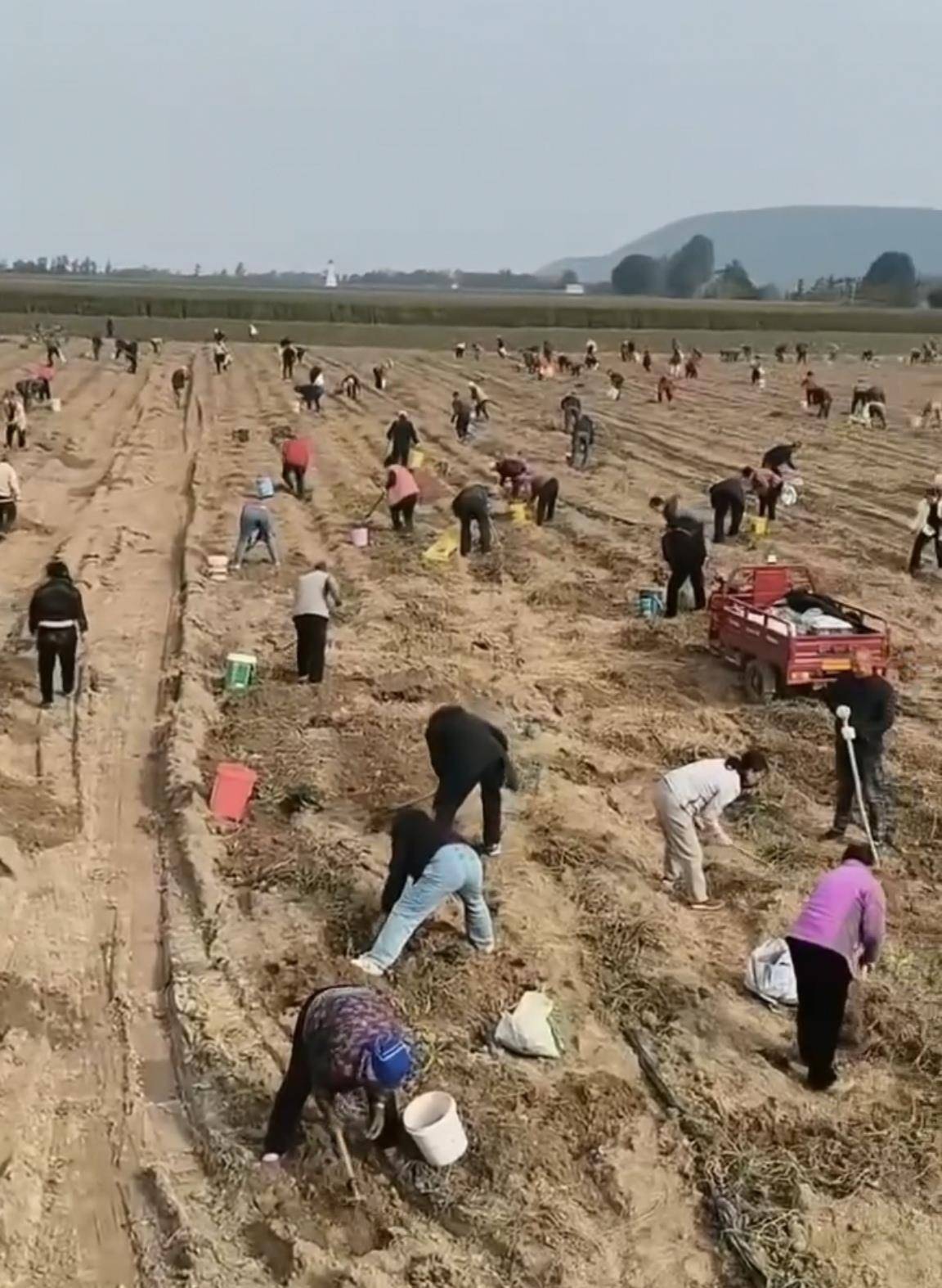 数百人冲进地里捡红薯<strong></p>
<p>虚拟币分类</strong>,田主称是秋收剩下的,网友:免费翻地,利人利己