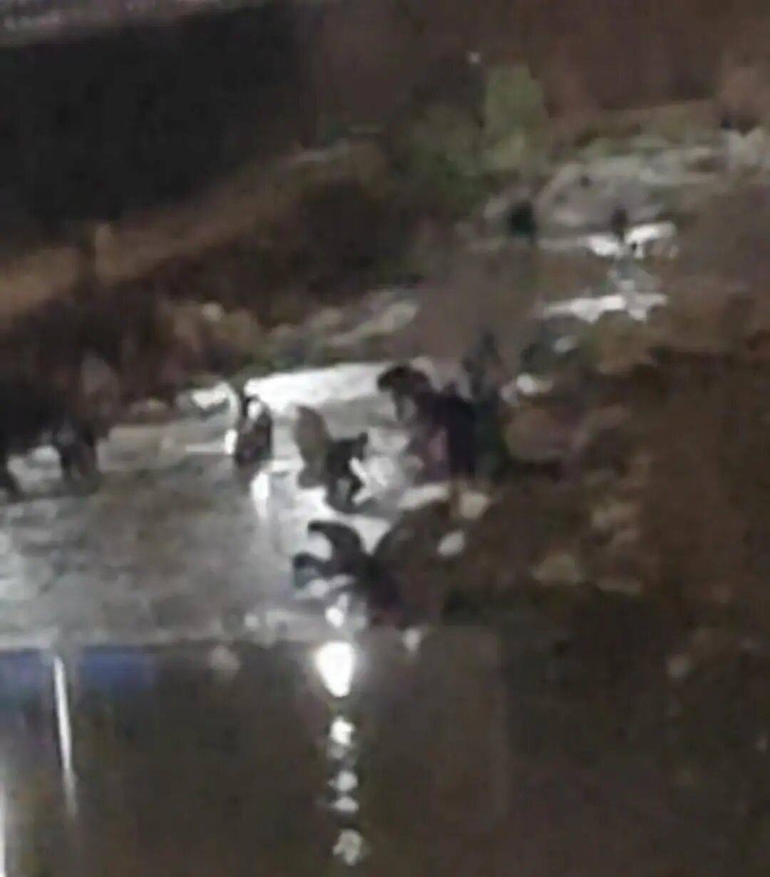 “一盆出5克多”<strong></p>
<p>虚拟币push</strong>，多人凌晨下河淘金！当地警方回应