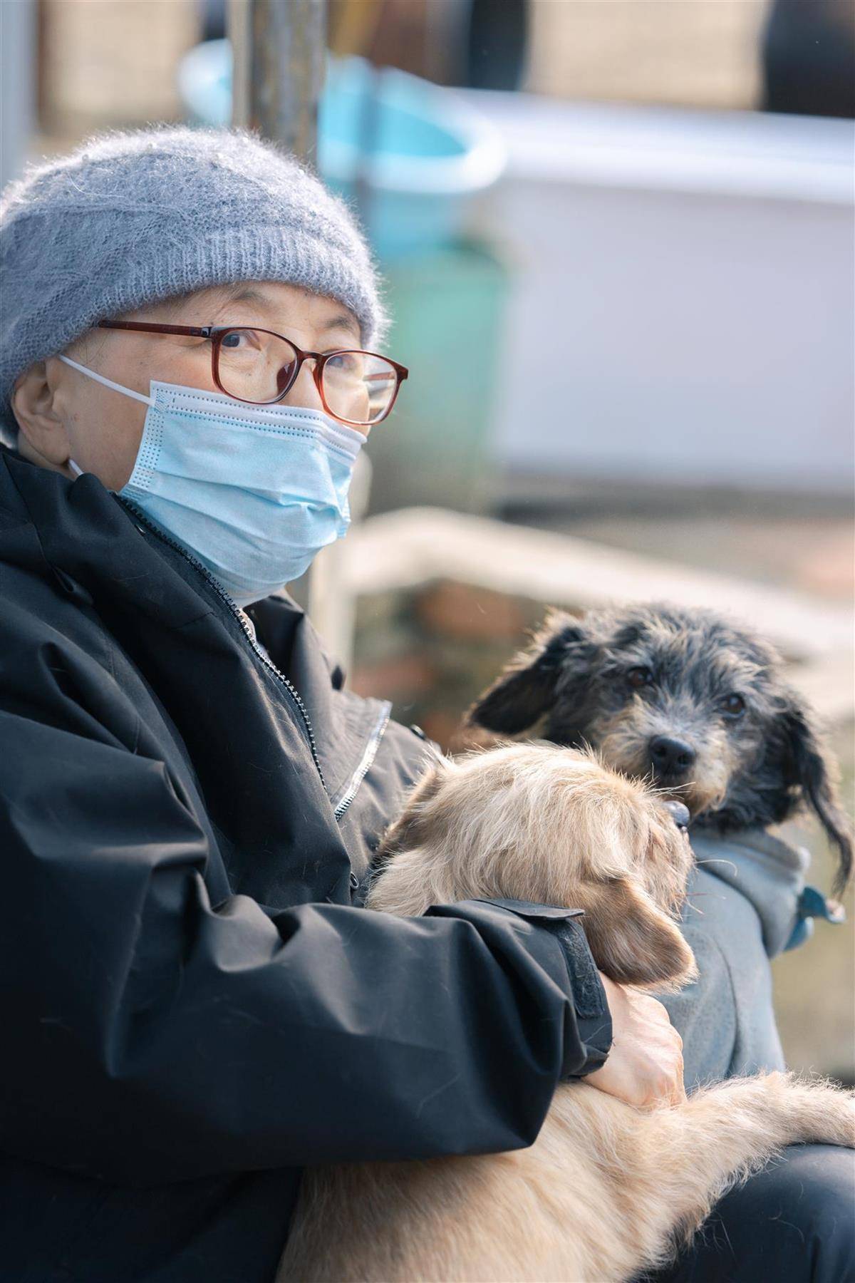 合肥卖房救助流浪狗的魏阿姨离世<strong></p>
<p>虚拟币ZEC</strong>,病中仍然惦记着基地的600只流浪狗,工人:不敢相信世上还有这样执着的人