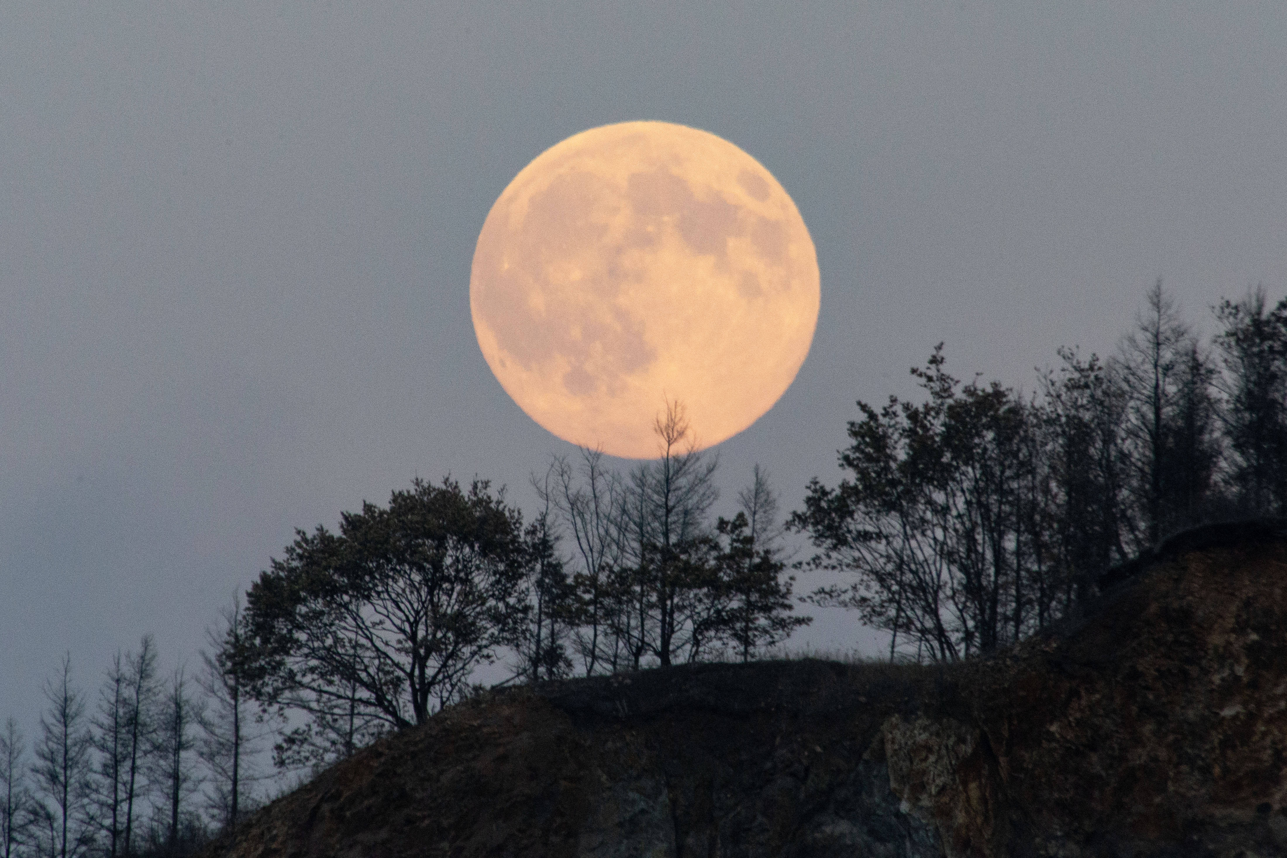 今年“个头”最大的“超级月亮”来啦#
