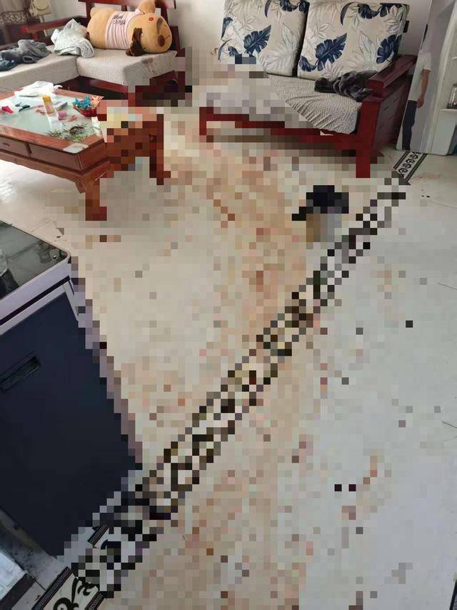 “女子出租屋遭男友持刀杀害”案明日开庭<strong></p>
<p>国家禁止虚拟币</strong>，家属发声：凶手从未道歉，我们不会谅解