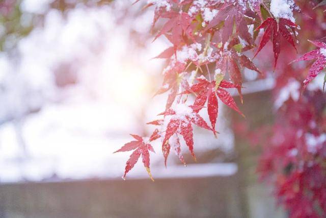 百年难遇“早立冬”来了<strong></p>
<p>国家禁止虚拟币</strong>！有啥讲究？早看早准备！