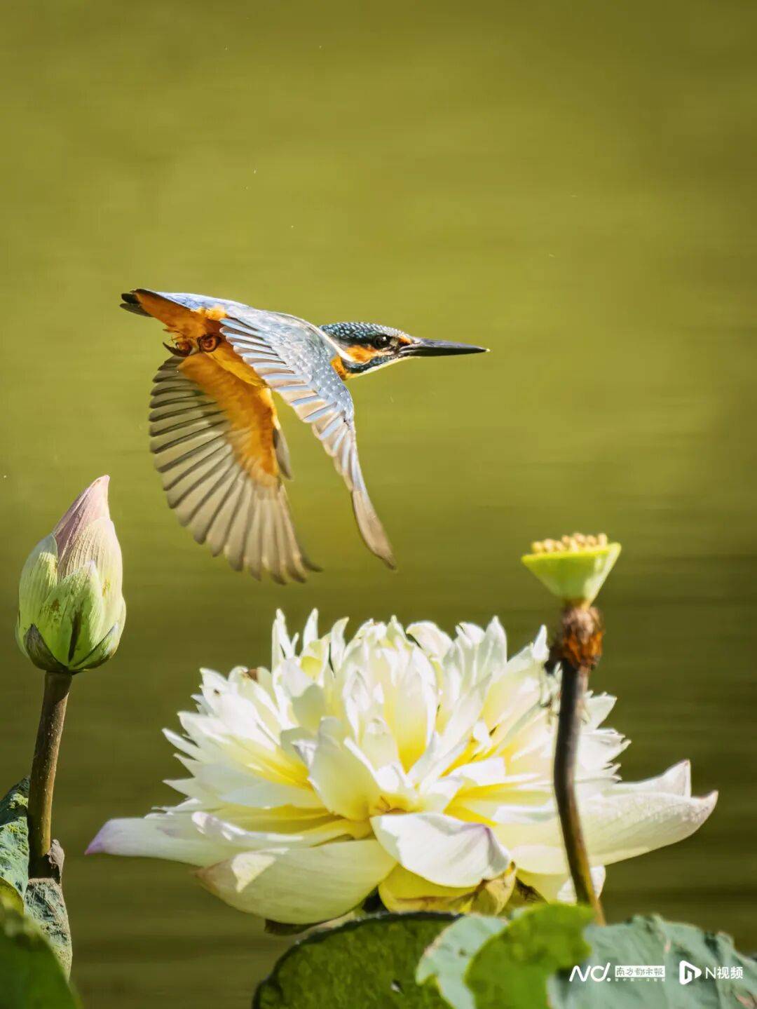 东莞最新发布：将严厉打击这些行为<strong></p>
<p>国家禁止虚拟币</strong>！