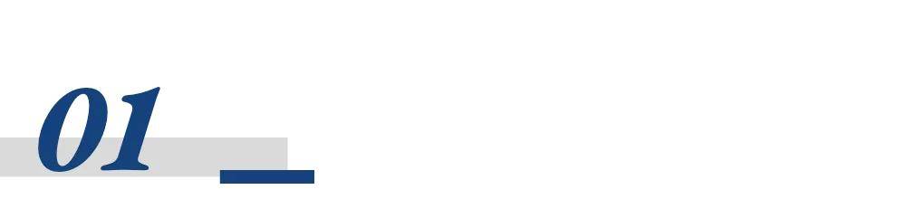 万亿机器人赛道<strong></p>
<p>马吉贝虚拟币</strong>，谁是背后金主？