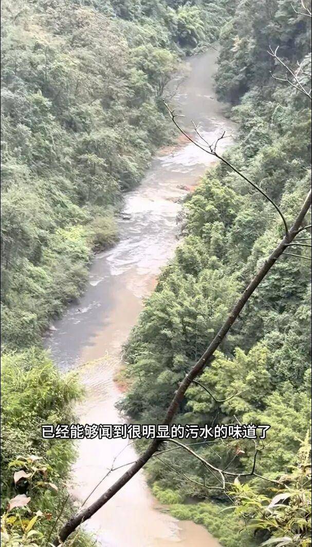 重庆通报：坚决查处<strong></p>
<p>马吉贝虚拟币</strong>，绝不姑息