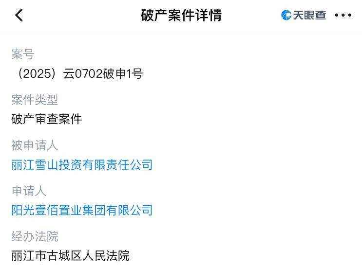 李亚鹏开发的雪山艺术小镇被申请破产<strong></p>
<p>虚拟币商城开发</strong>，原股东股权价值将归零？