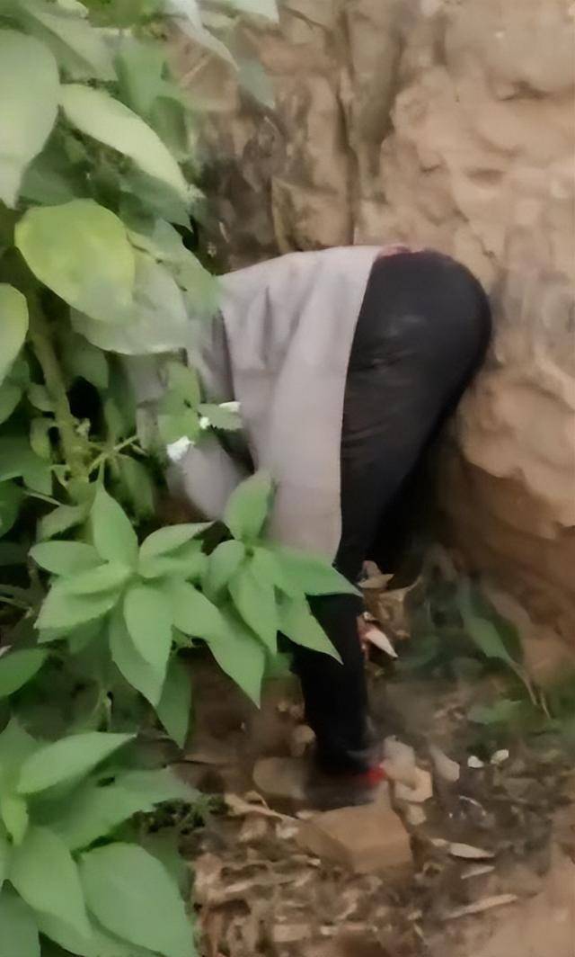 陕西一女子疑因拍亲姑姑偷玉米遭姑父棍杀<strong></p>
<p>虚拟游戏币代理</strong>，邻居欲报警也遇害