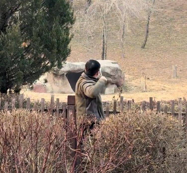 沈阳一男子动物园内用弹弓射老虎<strong></p>
<p>虚拟q币充值器</strong>，目击者称其“填装了弹丸”，打完后老虎爬起来了，园方：正在核实情况