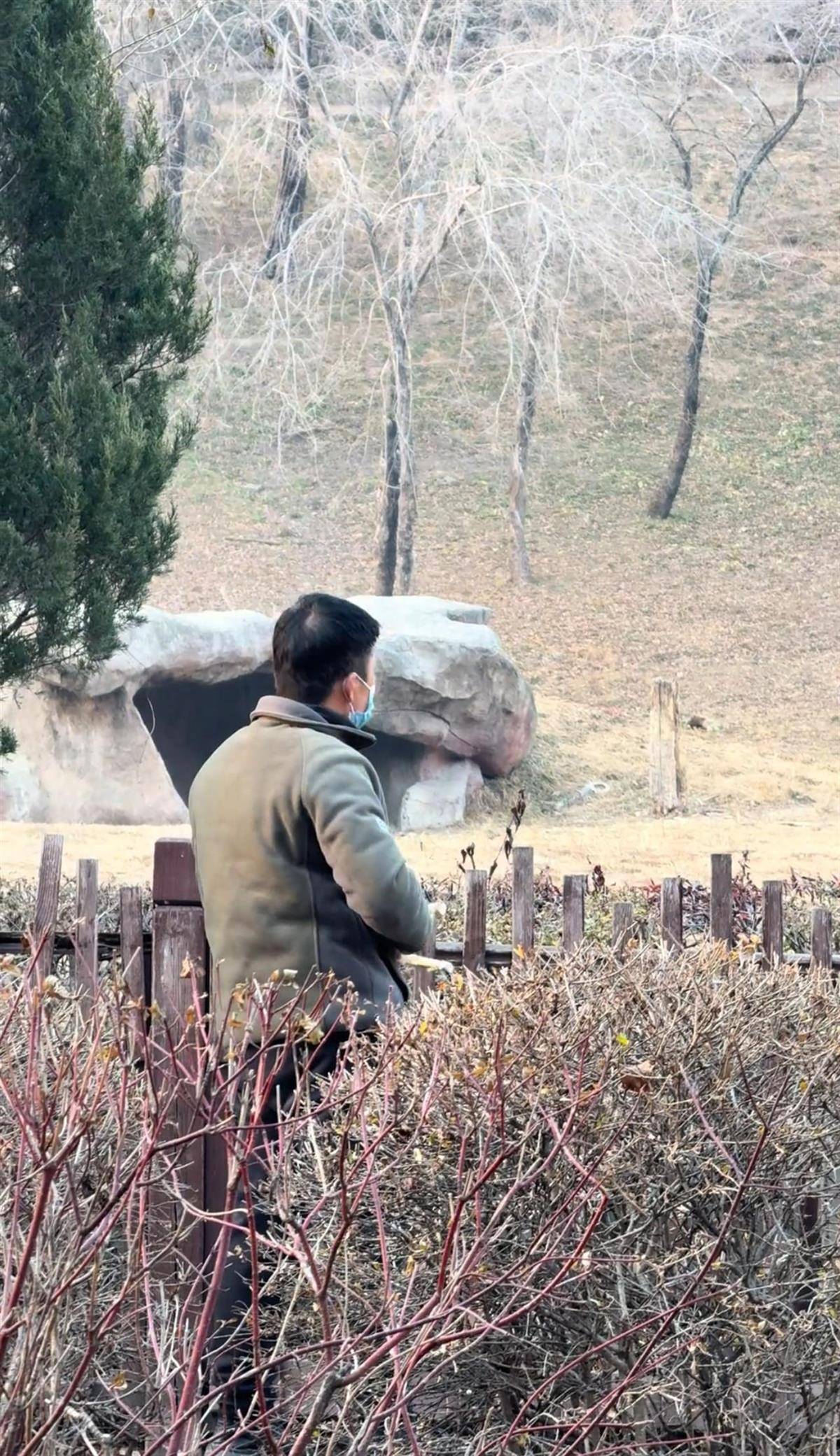 沈阳一男子动物园内用弹弓射老虎<strong></p>
<p>虚拟q币充值器</strong>，目击者称其“填装了弹丸”，打完后老虎爬起来了，园方：正在核实情况