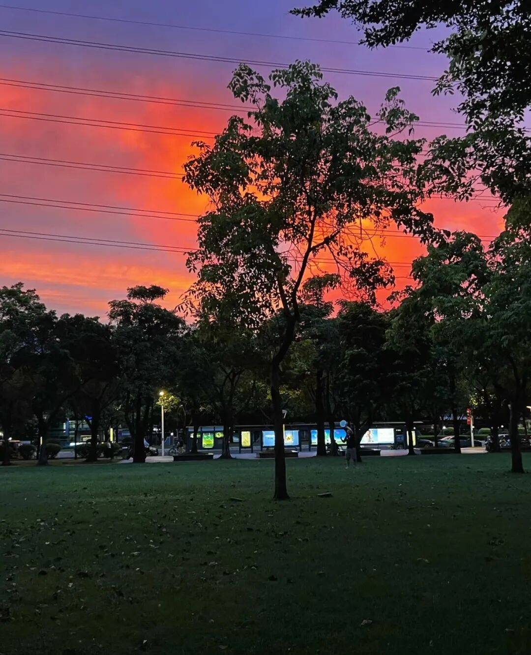 第一批丁克老后<strong></p>
<p>虚拟q币充值器</strong>，“伴侣能陪一程，但最后都要靠自己”