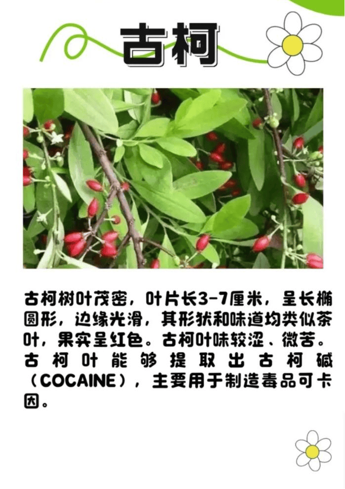 悬赏1500万美金！前奥运选手涉多起案件<strong></p>
<p>虚拟币名字</strong>，被列入十大通缉犯