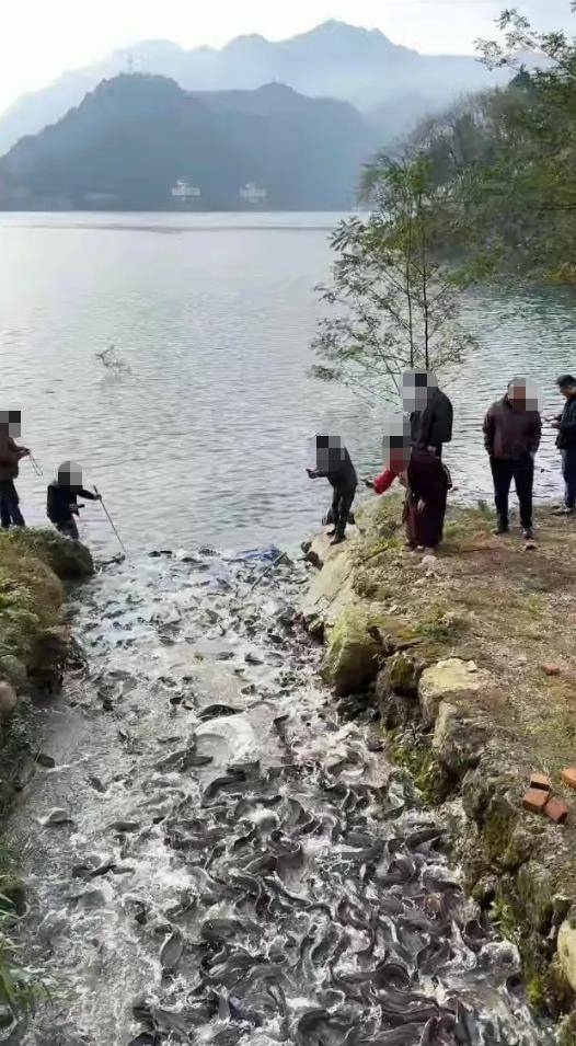 都江堰一水库被放生万斤外来物种埃及塘鲺？官方澄清：已进行阻止和打捞<strong></p>
<p>虚拟币名字</strong>，经鉴定是本地八须鲶