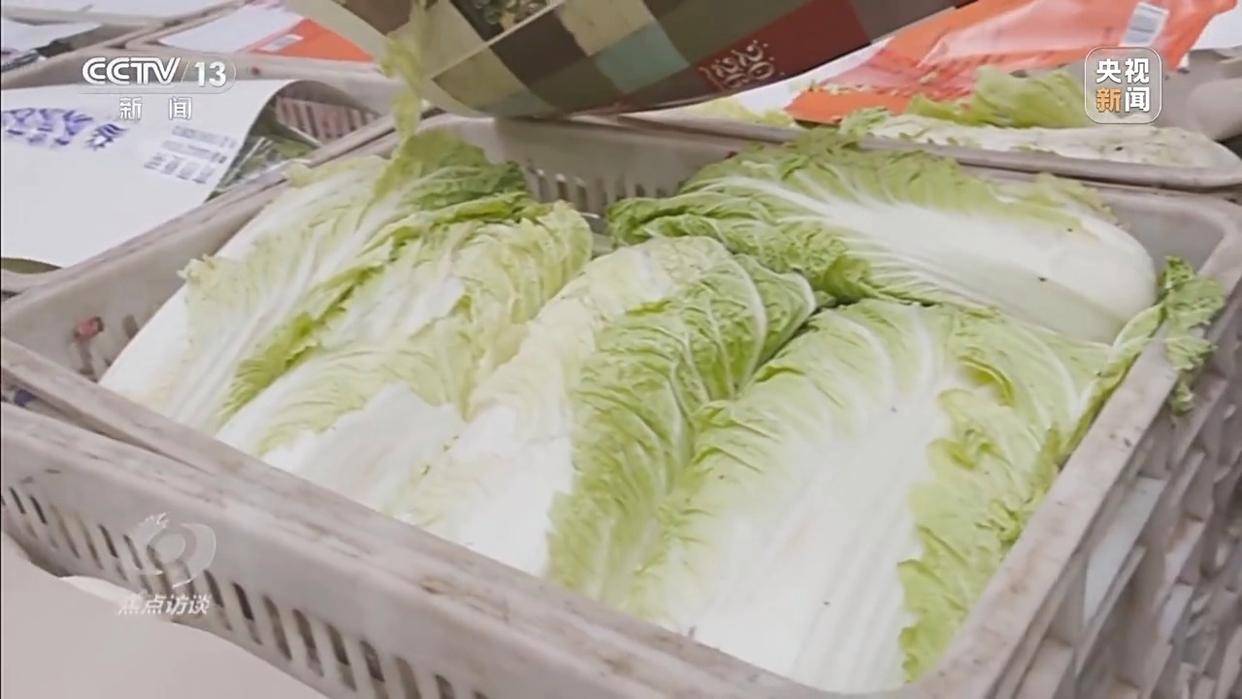 单棵售价超百元<strong></p>
<p>虚拟龙凤币</strong>，起底“套牌白菜”背后的销售套路