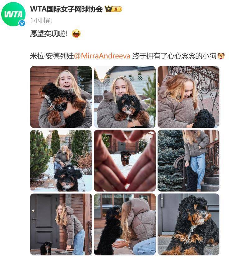 “小米辣”终于有了自己的小狗！曾说养狗是赢球的动力<strong></p>
<p>虚拟龙凤币</strong>，WTA官方发“贺信”：愿望实现啦！