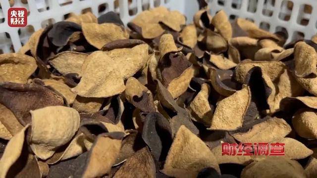 30天速成陈皮<strong></p>
<p>如何挖虚拟币</strong>，成本仅70元，利润超成本10倍以上！央视起底陈皮跨省造假产业链