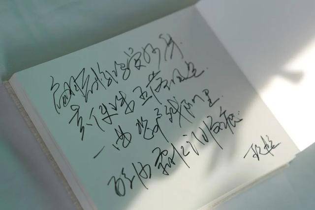 何晴之子追思:妈妈很喜欢雪<strong></p>
<p>如何挖虚拟币</strong>,北京这场雪好像是为她而下