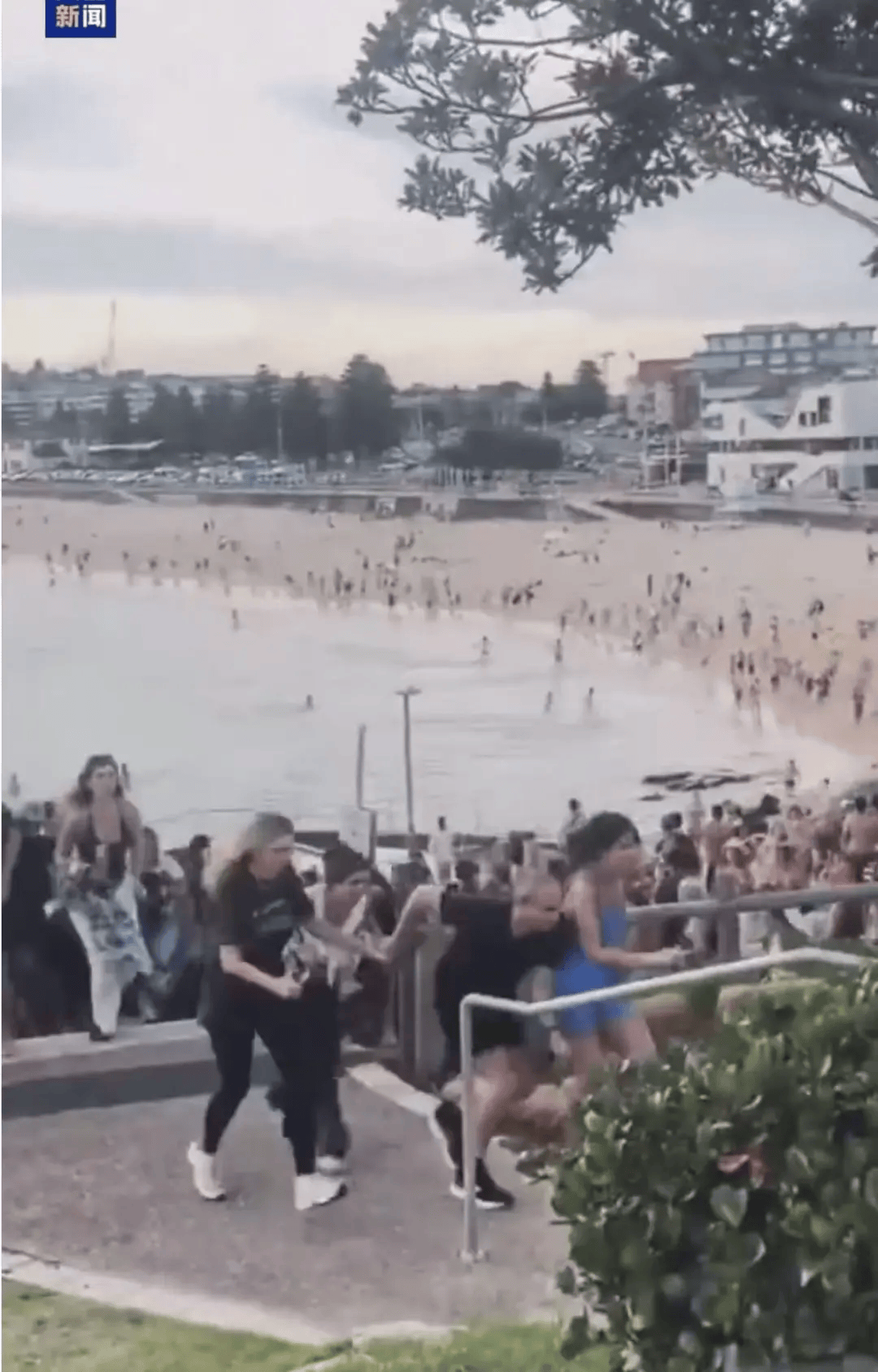 澳大利亚海滩枪击事件两名枪手为父子关系<strong></p>
<p>如何挖虚拟币</strong>，父亲50岁，儿子24岁！一名路人冒险夺枪反击，身中两弹，需接受手术