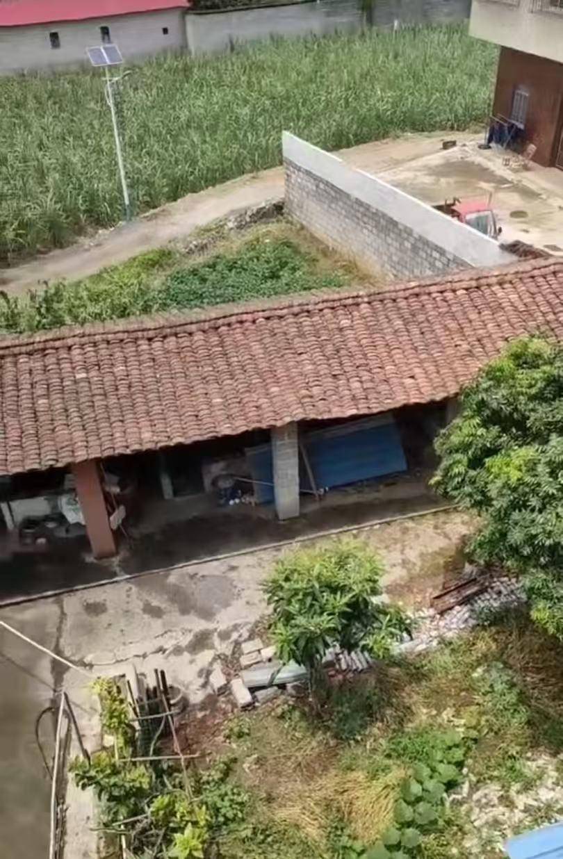 “男子改装射钉枪射杀邻居夫妇案”二审将于17日第二次开庭<strong></p>
<p>如何挖虚拟币</strong>，被告人一审被判死缓