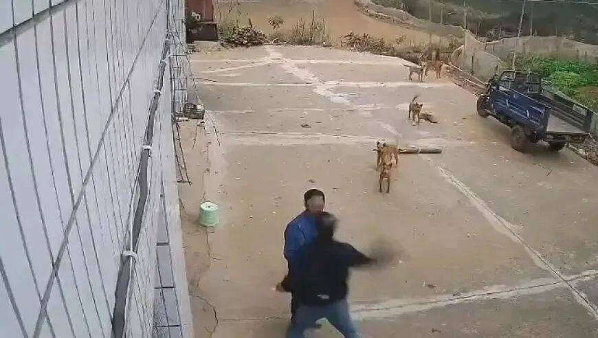 男子家门口吃橘子被邻居一拳打昏<strong></p>
<p>小蚁虚拟币</strong>，警方通报：因养狗问题起冲突，均有受伤