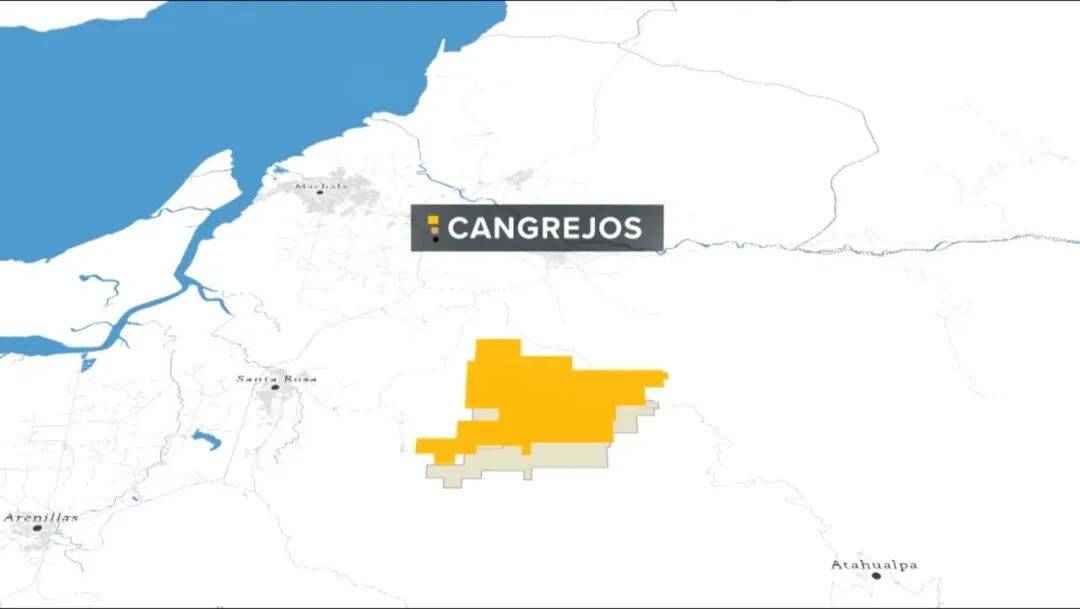 掏出71亿元现金<strong></p>
<p>小蚁虚拟币</strong>，河南巨头拿下国外四座金矿！