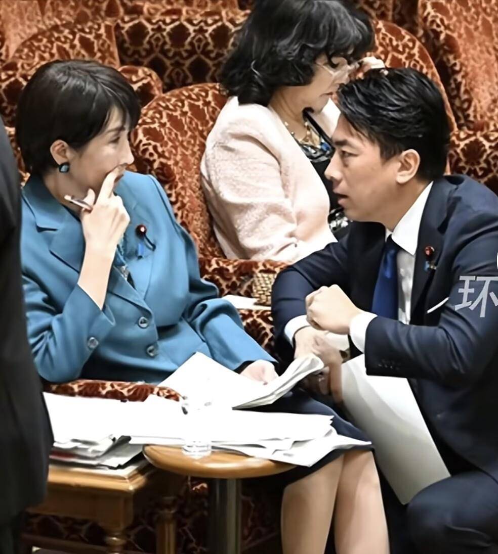 小泉进次郎跪地与高市早苗交谈<strong></p>
<p>虚拟币k线</strong>，企图为高市发声，遭在野党强烈嘘声