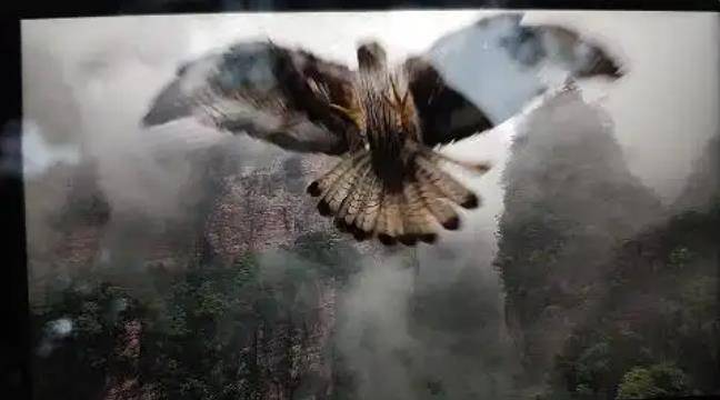 土耳其老鹰空中抓走无人机<strong></p>
<p>里约虚拟币</strong>，带上山顶“玩自拍”