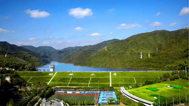 深圳一条路的路灯竟被官方“故意调暗”<strong></p>
<p>虚拟币认筹</strong>！原因很特别……